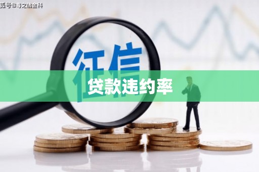 里港贷款违约率