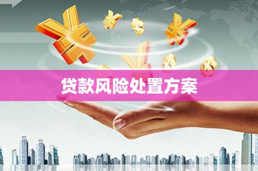 里港贷款风险处置方案