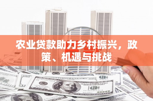 里港农业贷款助力乡村振兴，政策、机遇与挑战