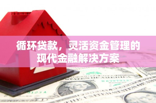 里港循环贷款，灵活资金管理的现代金融解决方案