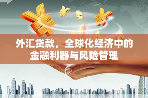 里港外汇贷款，全球化经济中的金融利器与风险管理