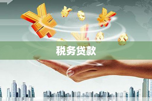 里港税务贷款