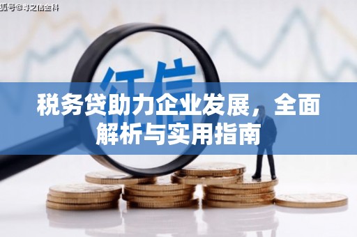 里港税务贷助力企业发展，全面解析与实用指南
