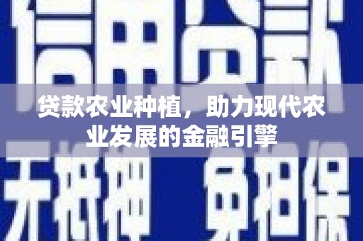 里港贷款农业种植，助力现代农业发展的金融引擎