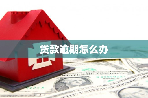 里港贷款逾期怎么办