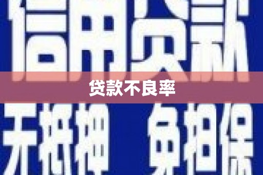 里港贷款不良率