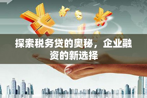 里港探索税务贷的奥秘，企业融资的新选择