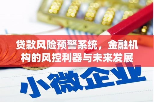 里港贷款风险预警系统，金融机构的风控利器与未来发展