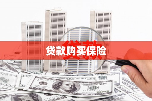 里港贷款购买保险