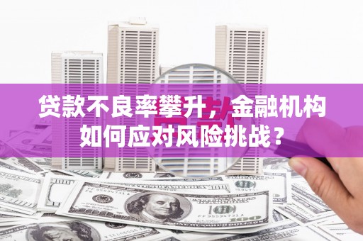 里港贷款不良率攀升，金融机构如何应对风险挑战？