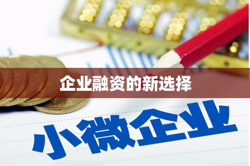 里港企业融资的新选择