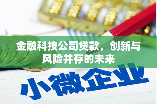 里港金融科技公司贷款，创新与风险并存的未来