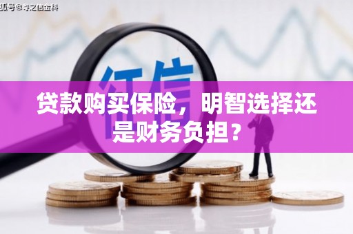 里港贷款购买保险，明智选择还是财务负担？