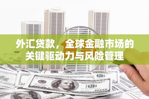 里港外汇贷款，全球金融市场的关键驱动力与风险管理