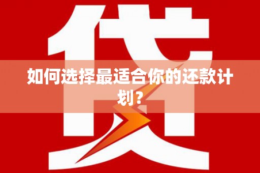 里港如何选择最适合你的还款计划？