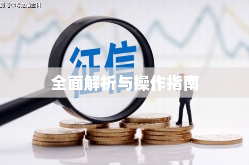 里港全面解析与操作指南