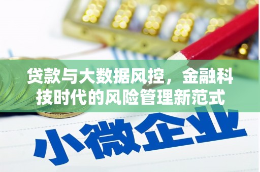 里港贷款与大数据风控，金融科技时代的风险管理新范式