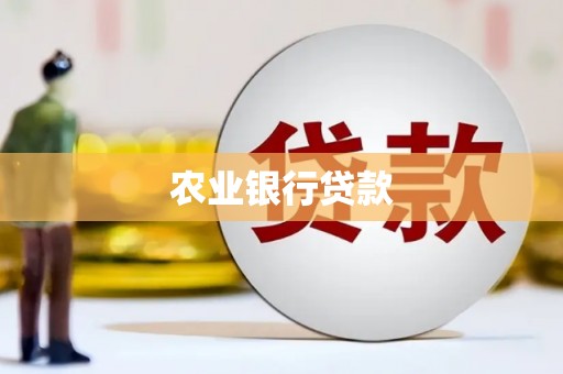 里港农业银行贷款