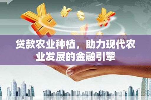 里港贷款农业种植，助力现代农业发展的金融引擎