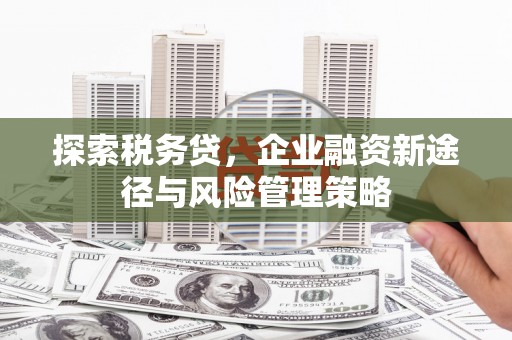 里港探索税务贷，企业融资新途径与风险管理策略