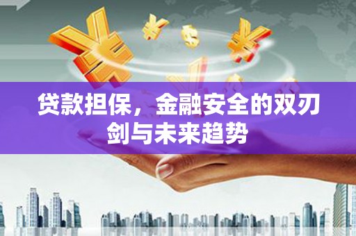 里港贷款担保，金融安全的双刃剑与未来趋势