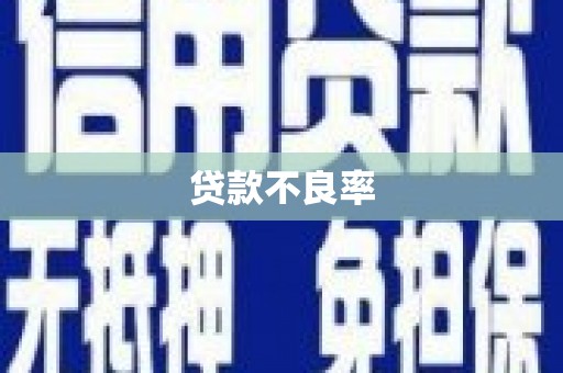 里港贷款不良率
