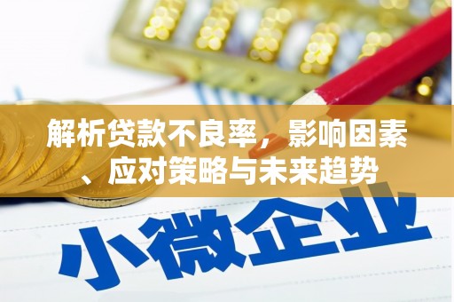 里港解析贷款不良率，影响因素、应对策略与未来趋势
