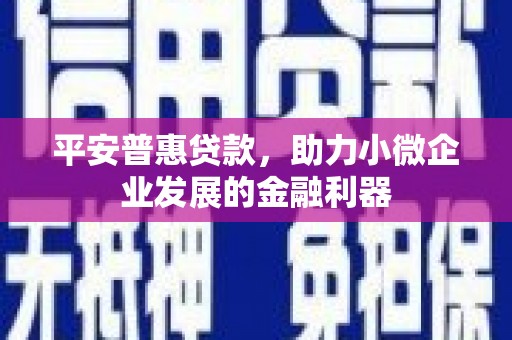 里港平安普惠贷款，助力小微企业发展的金融利器