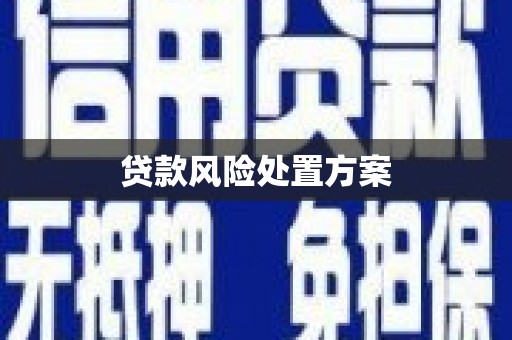 里港贷款风险处置方案