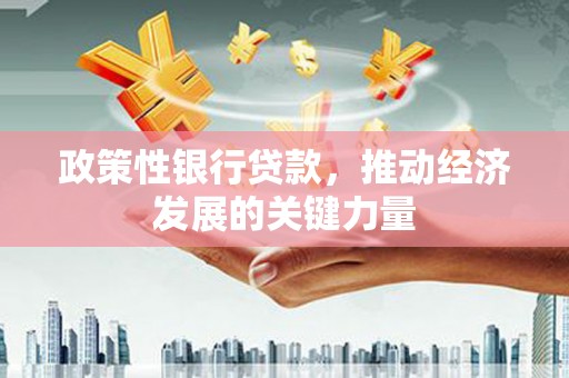 里港政策性银行贷款，推动经济发展的关键力量