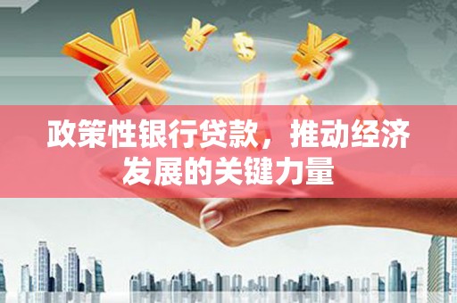 里港政策性银行贷款，推动经济发展的关键力量