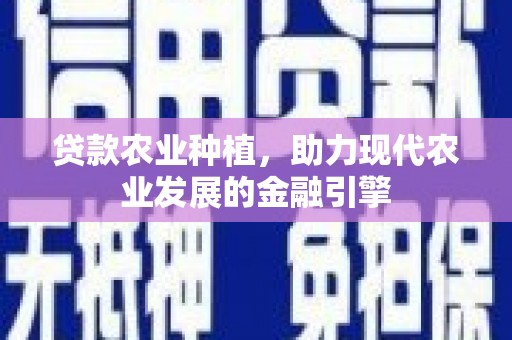 里港贷款农业种植，助力现代农业发展的金融引擎