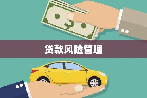 里港贷款风险管理