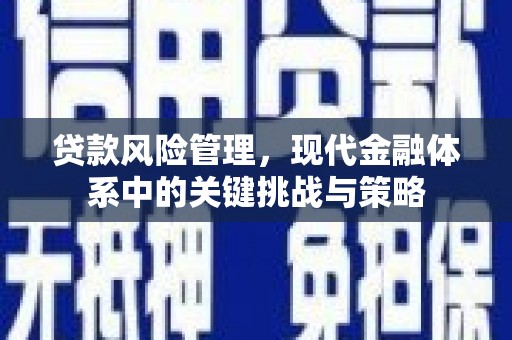 里港贷款风险管理，现代金融体系中的关键挑战与策略