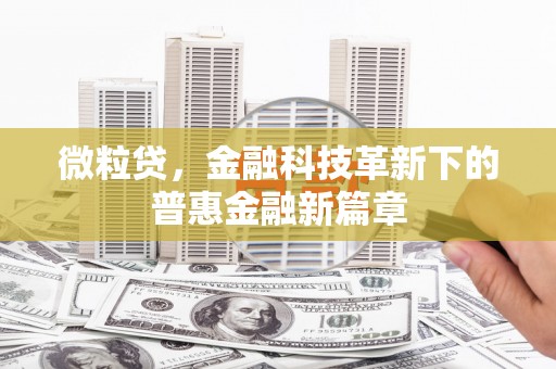 里港微粒贷，金融科技革新下的普惠金融新篇章