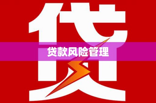 里港贷款风险管理