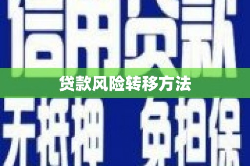 里港贷款风险转移方法