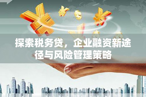 里港探索税务贷，企业融资新途径与风险管理策略