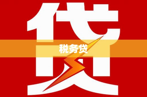 里港税务贷