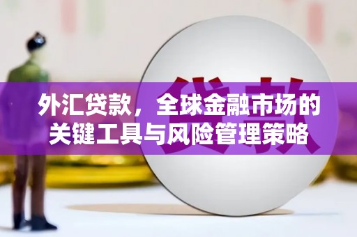 里港外汇贷款，全球金融市场的关键工具与风险管理策略