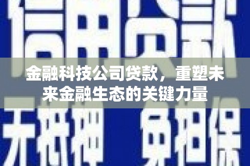 里港金融科技公司贷款，重塑未来金融生态的关键力量