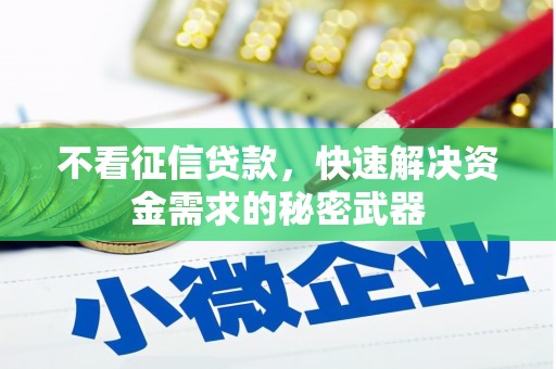 里港不看征信贷款，快速解决资金需求的秘密武器