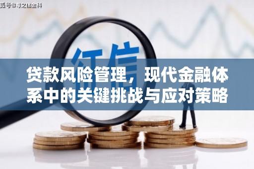 里港贷款风险管理，现代金融体系中的关键挑战与应对策略