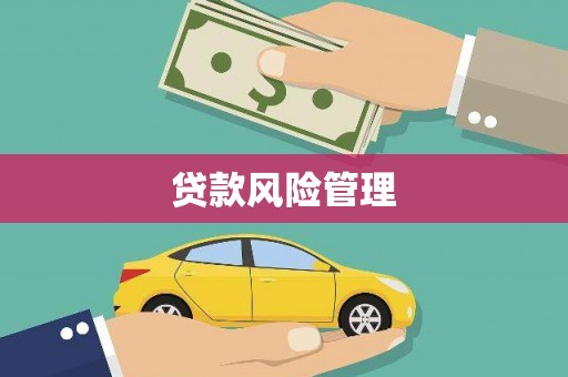 里港贷款风险管理