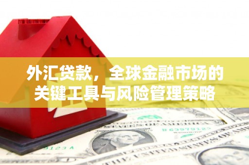 里港外汇贷款，全球金融市场的关键工具与风险管理策略