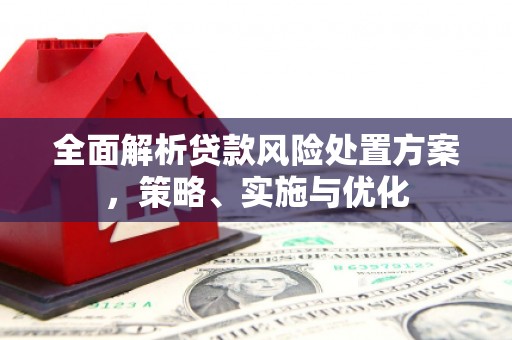 里港全面解析贷款风险处置方案，策略、实施与优化