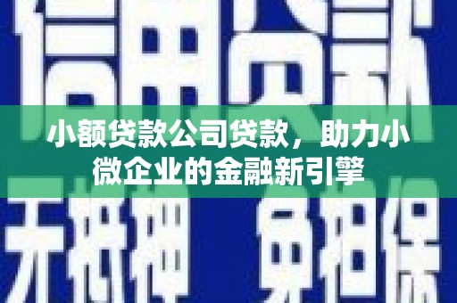 里港小额贷款公司贷款，助力小微企业的金融新引擎