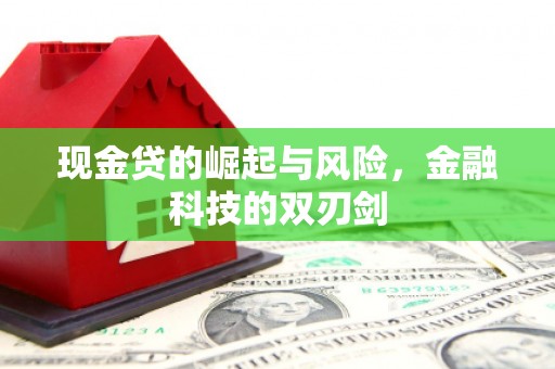 里港现金贷的崛起与风险，金融科技的双刃剑