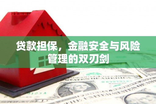 里港贷款担保，金融安全与风险管理的双刃剑