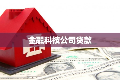 里港金融科技公司贷款
